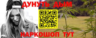 шишки Ставрополь