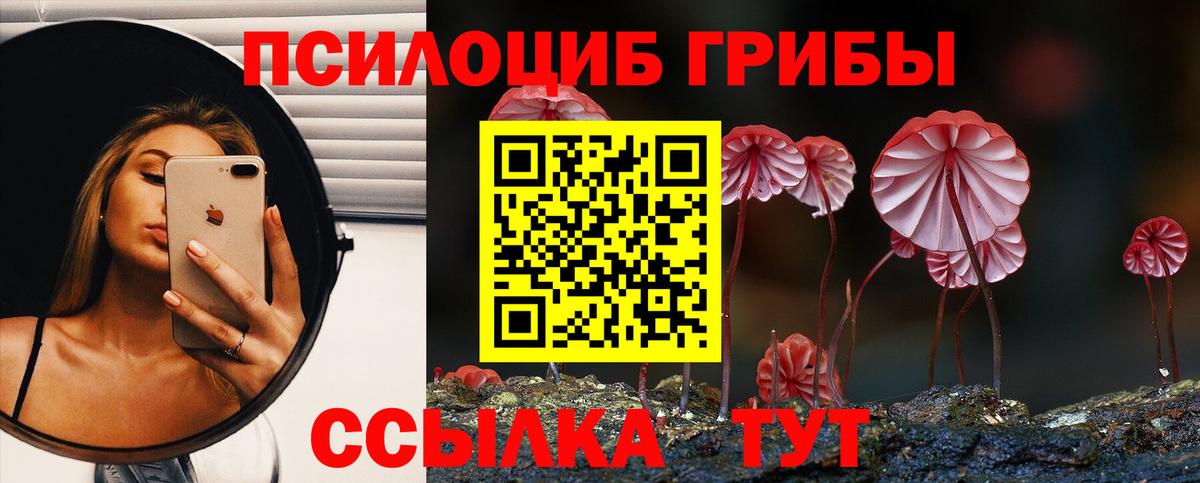 даркнет сайт  Вход с VPN  Псилоцибиновые грибы Psilocybe  Заречный  Псилоцибиновые грибы Magic Shrooms 